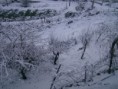 /album/galeria-de-fotos-pagina-inicial/neve15-jpg/