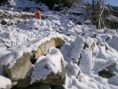 /album/fotos-de-manhouce/neve-jpg1/